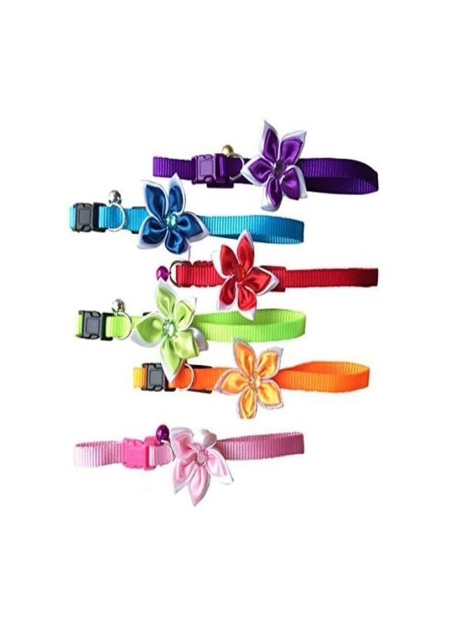 KittuPet Collar Flower Deisgn Reverisble Interactive Collar for Your Kitten Pupies Dog Size 10 MM Random Color (Pack of 6 pcs) - Image 4